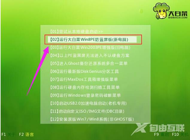 如何使用U盘启动进入PE安装系统,详细教您如何安装