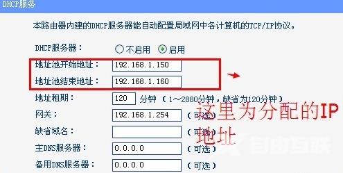 如何启用dhcp服务器_dhcp服务器设置启用的方法