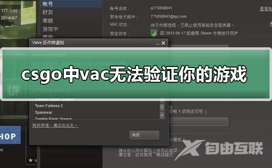 csgo中出现vac无法验证你的游戏_csgo中出现vac无法验证你的游戏解决方法