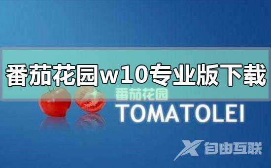 番茄花园win10专业版下载地址安装步骤教程