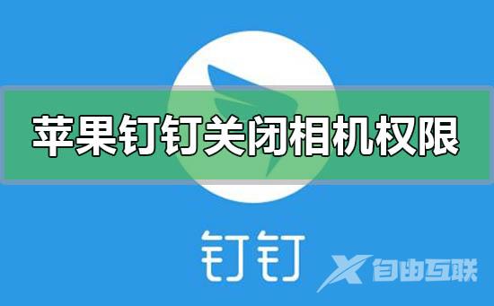 苹果钉钉关闭摄像头相机权限的步骤方法