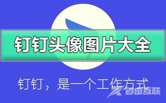 钉钉头像图片不同颜色分享-钉钉头像图片大全