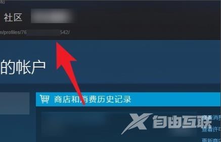 steam17位id在哪看-steam17位id查看方法