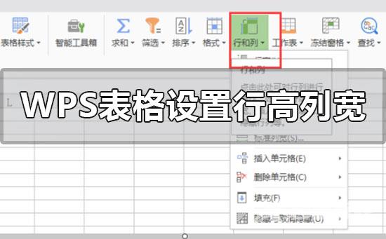 wps表格怎么设置行高和列宽-wps表格设置行高和列宽步骤教程