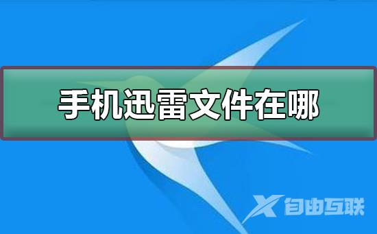 手机迅雷下载的文件在哪-手机迅雷下载的文件位置介绍