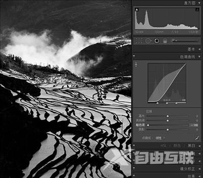 Lightroom怎么用色调曲线修图？