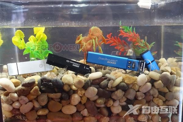 1.2米防水！金士顿D300加密U盘发布：AES硬件加密