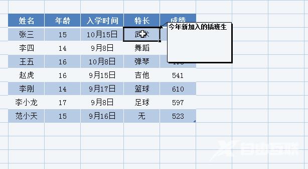 如何使用选择性粘贴？