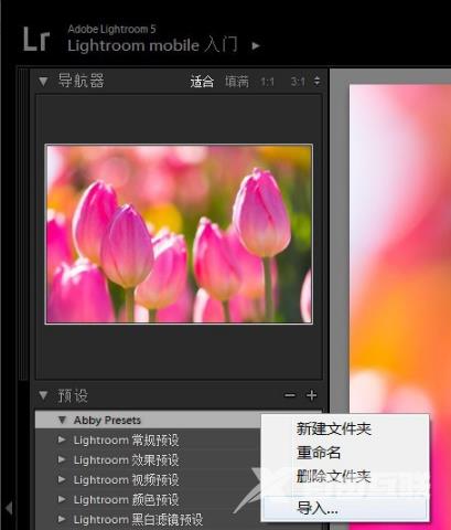 lightroom怎么导入预设