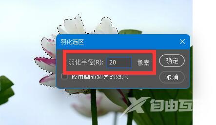 PS羽化为什么没反应？PS羽化用不了解决方法