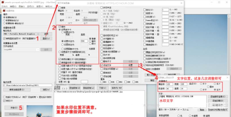 irfanview批量截图