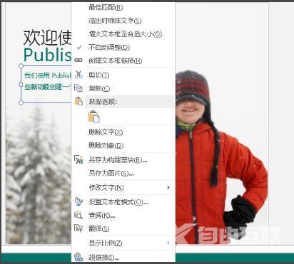 publisher怎么用