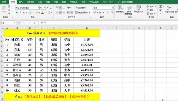 Excel 2019中使用条件格式分析数据的方法