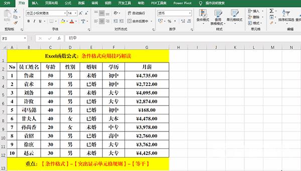 Excel 2019中使用条件格式分析数据的方法