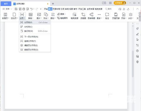 wps怎么添加空白页 wps添加空白页的四种方法