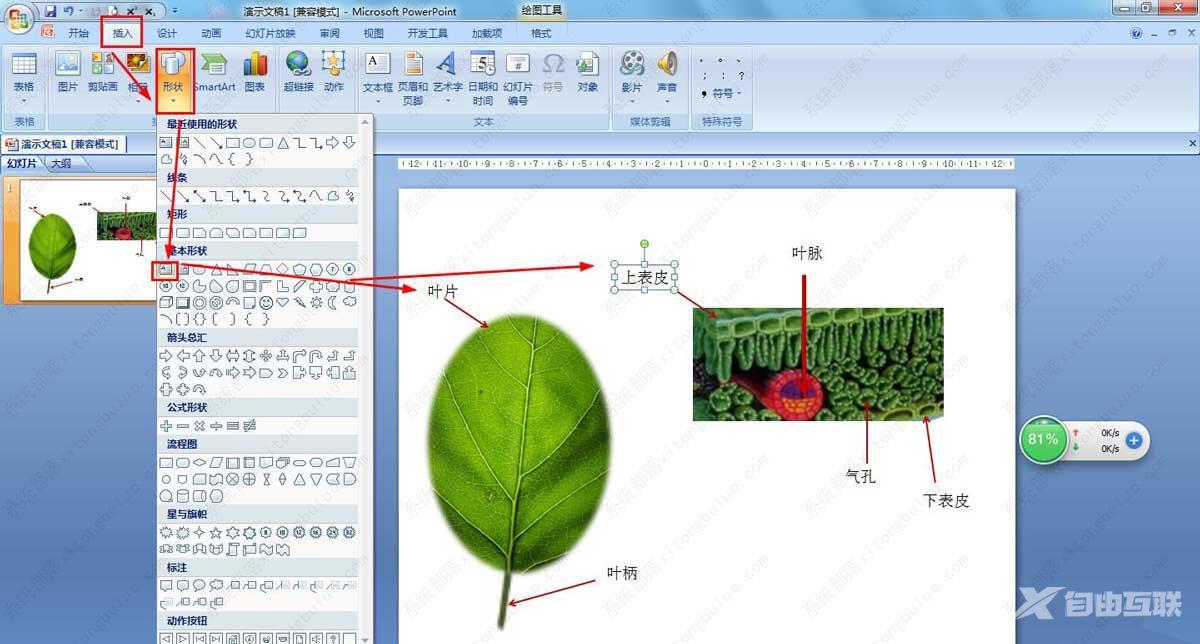 PPT怎么画树叶的结构名称图解-ppt画树叶的结构图的技巧