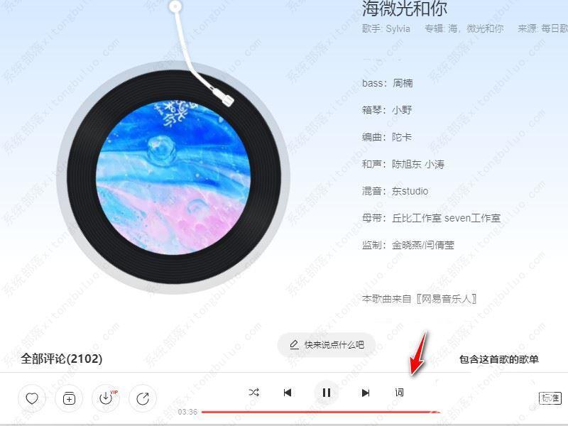 网易云音乐如何设置歌词双行显示在屏幕上？