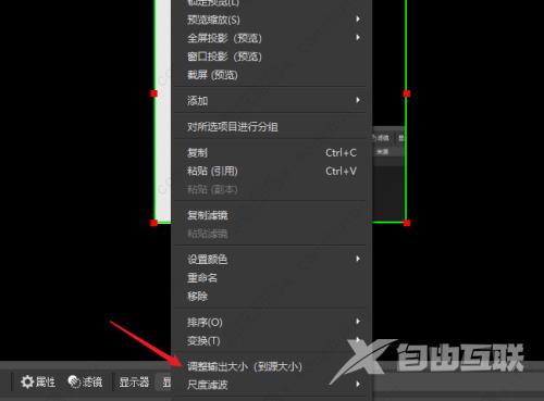 OBS Studio怎么选择录屏范围?OBS自定义录屏区域的方法