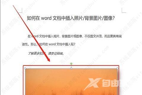 word嵌入式图片为什么显示不出来？word文档插入图片显示不全怎么办