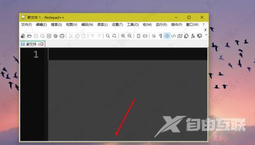 Notepad++隐藏状态栏的方法教程