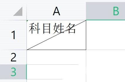 WPS表格斜线一分为二怎么弄？WPS表格斜线绘制方法