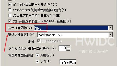 VMware Workstation怎么设置托盘图标？VMware Workstation设置托盘图标教程截图