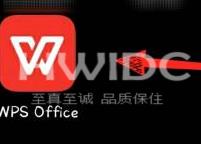 WPS Office官方版怎么输入文字？WPS Office官方版输入文字的方法