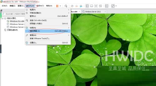 VMware Workstation怎么截屏？VMware Workstation截屏教程截图