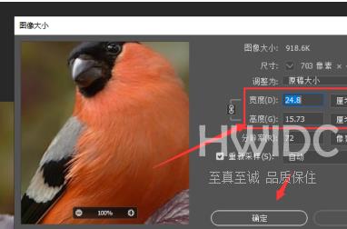 photoshop2020如何调整图像大小？photoshop2020调整图像大小的方法截图