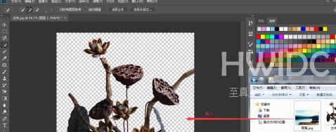 photoshop cc 2018中如何更换背景？photoshop cc 2018如何更换背景的方法