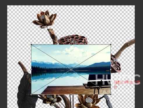 photoshop cc 2018中如何更换背景？photoshop cc 2018如何更换背景的方法截图