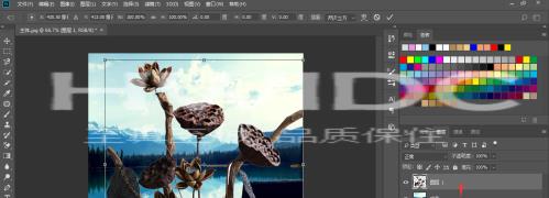 photoshop cc 2018中如何更换背景？photoshop cc 2018如何更换背景的方法截图