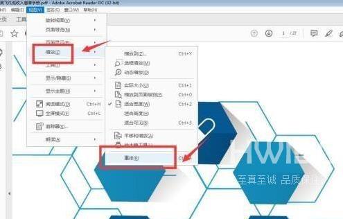 Adobe Acrobat Reader DC如何设置重排？Adobe Acrobat Reader DC设置重排的方法截图