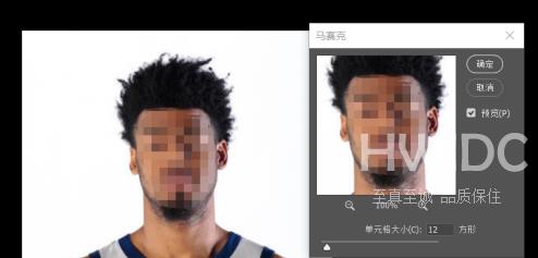 photoshop cc 2018怎样给图片添加马赛克？photoshop cc 2018给图片添加马赛克的方法截图