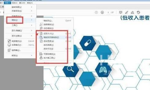 Adobe Acrobat Reader DC如何设置重排？Adobe Acrobat Reader DC设置重排的方法截图