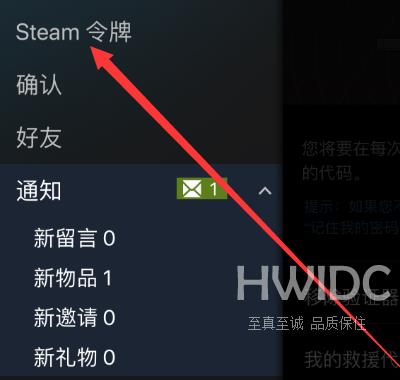 Steam中救援代码怎么看？Steam中看救援代码的方法截图