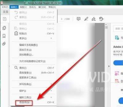 Adobe Acrobat Reader DC怎么取消超链接？Adobe Acrobat Reader DC取消超链接的方法截图