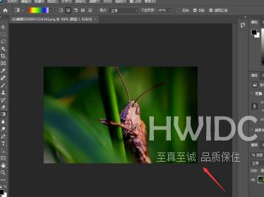 photoshop2020如何新建图层？photoshop2020新建图层的方法