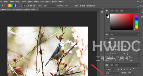 photoshop2020怎么样调整亮度？photoshop2020调整亮度的方法截图