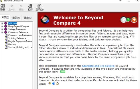 Beyond Compare怎么打开帮助文档？Beyond Compare打开帮助文档的方法截图