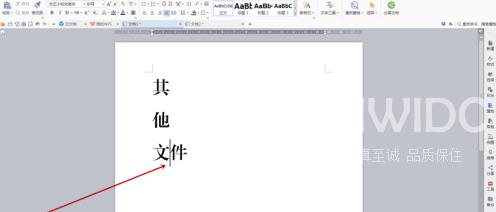 方正小标宋简体字体如何制作文件标签？方正小标宋简体字体制作文件标签的方法截图