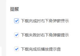 迅雷11如何设置下载失败时弹窗提示？迅雷11设置下载失败时弹窗提示的方法截图