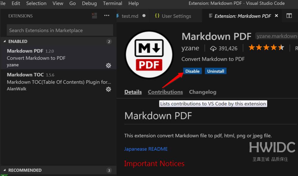 Vscode插件Markdown PDF转换错误怎么办?Vscode插件Markdown PDF转换错误解决方法