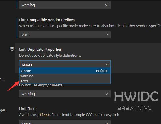 vscode重复属性错误怎么提醒?vscode重复属性错误提醒方法截图
