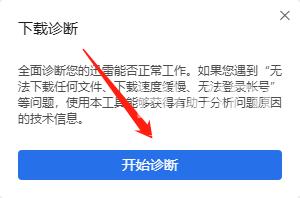 迅雷11如何诊断下载网络信息？迅雷11诊断下载网络信息的操作方法截图