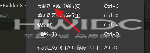 hbuilderx怎么复制当前所在行？hbuilderx复制当前所在行教程截图