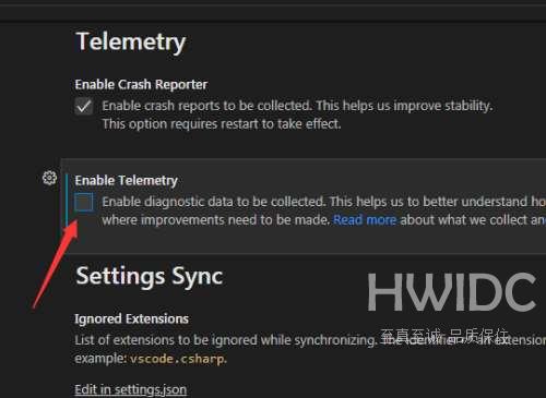 Vscode怎么关闭遥测?Vscode关闭遥测方法截图