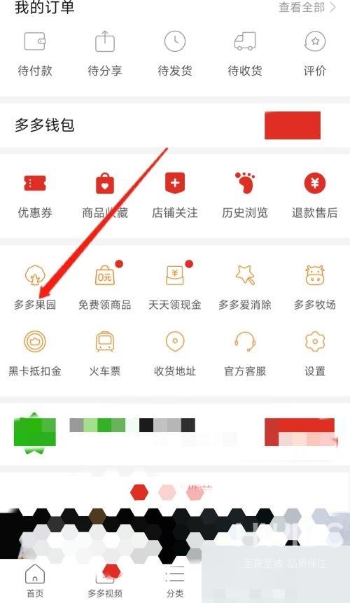 拼多多如何开通多多果园