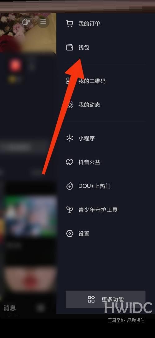 抖音极速版账单怎么查看