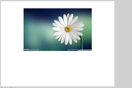 HTML5 canvas